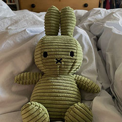 Bunny plushie