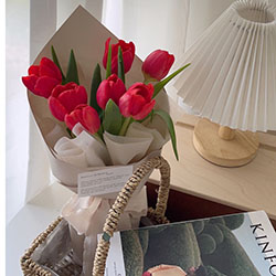 Simply Red | 7 stalks Tulips